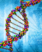 Biologie samenvatting: Stofwisseling en Genetica