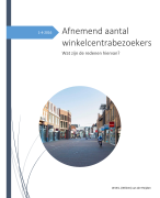 Onderzoeksrapport onderzoeksvaardigheden blok 3 BMER Fontys BudelFashion