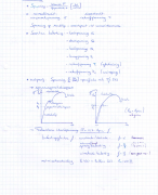 Sterktelee Samenvatting Examen