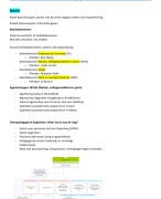 Orthopedagogisch werkveld: graduaat orthopedagogie