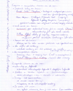 RZL Samenvatting Examen