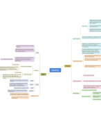 mindemap inleiding toegepaste ethiek 