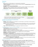 samenvatting Marketingmanagement en -communicatie 