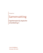 Samenvatting ergotherapie bij atypische ontwikkeling 3