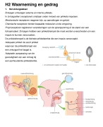  H2 waarneming en gedrag 5vwo biologie