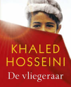 Samenvatting 'De vliegeraar'