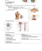 Neurokinesitherapie 2 - Neurologie - De Deyn