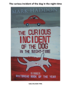 The curious incident of the dog in the night-time 