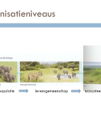 Basisstof 7 - Ecologie