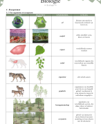 FOCUS biologie 4.2: thema 1: Ecologie