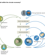 Samenvatting Circulaire Economie