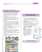 Samenvatting biologie voor jou thema 4