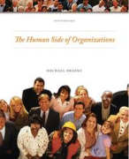 Samenvatting The Human Side of Organizations