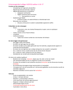 Samenvatting over het urinewegstelsel