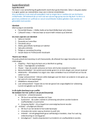 Social Work Leerjaar 1 - Samenvatting Superdiversiteit (alles)