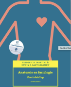 samenvatting lyme anatomie