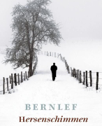 J. Bernlef - Hersenschimmen boek verslag bovenbouw nederlands