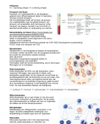 Tienvoorbiologie samenvatting H14 bloedsomloop