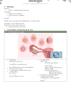 FOCUS biologie 4.2: thema 6: Voorplanting bij de mens (zonder hoofdstuk 3, 4 & 5) 
