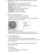 samenvatting anatomie en fysiologie