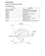Samenvatting Neuropsychologie 2de jaar