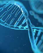 Nederlands betoog DNA-bank