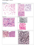 Histologie-beeldmateriaal (locomotorisch stelsel en huid)