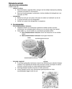 Biologie, natuurwetenschappen - samenvatting