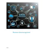 Paper Business Datamanagement, HBO Business IT & Management fase (leerjaar) 3, cijfer 7,3, 2023, inc