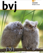 Samenvatting bvj, 1 vwo, havo, H4
