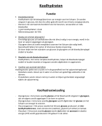 Samenvatting over koolhydraten