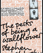 Perks of being a wallflower - summary