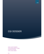 CGI portofolio - Prove 2 Move examen Verpleegkunde