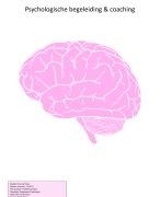 probleemanalyse - toegepaste psychologie
