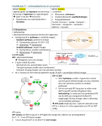 Samenvatting Celbiologie 5-9