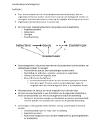 Samenvatting risicomanagement jaar 1