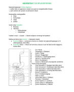 LOI Anatomie en Fysiologie / Algemene Medische Kennis Hoofdstuk: 7. De spijsvertering