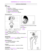 LOI Anatomie en Fysiologie / Algemene Medische Kennis Hoofdstuk:9 Het Urogenitale Stelsel