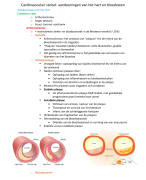 het cardiovasculair stelsel (cardiovasculaire aandoeningen) 