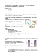 College aantekeningen, PowerPoint (samenvatting) van Geomorfologie 