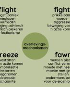 Tentamen Wijzer OLM