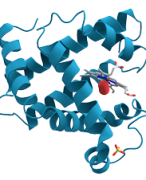 Biomoleculen & Cellen - Biomoleculen H1 - Inleiding