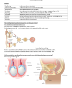 Biologie - de voortplanting