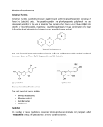 Principles of organic tanning-1