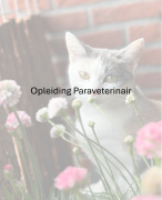 volledige samenvatting Kennisexamen Paraveterinair