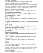 Nederlands schriftelijk - literaire termen
