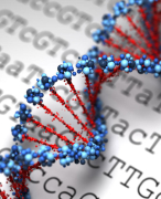 How to do primer designing for PCR application