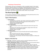 Morphology of flowering plants 