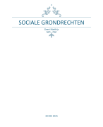 Sociale grondrechten verkennen 24-25 Arteveldehogeschool