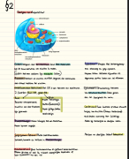 Hoofdstuk 2 cellen VWO biologie